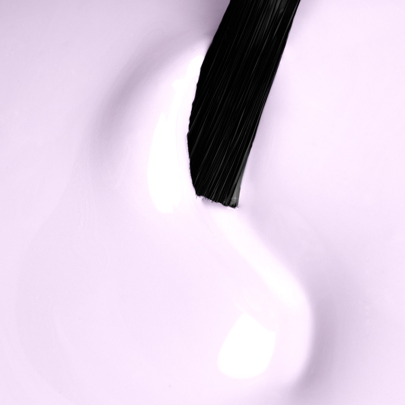 Sweet Coquette
