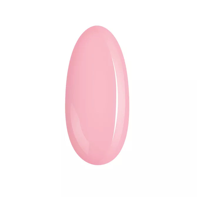 NN Expert Base Extra Cover