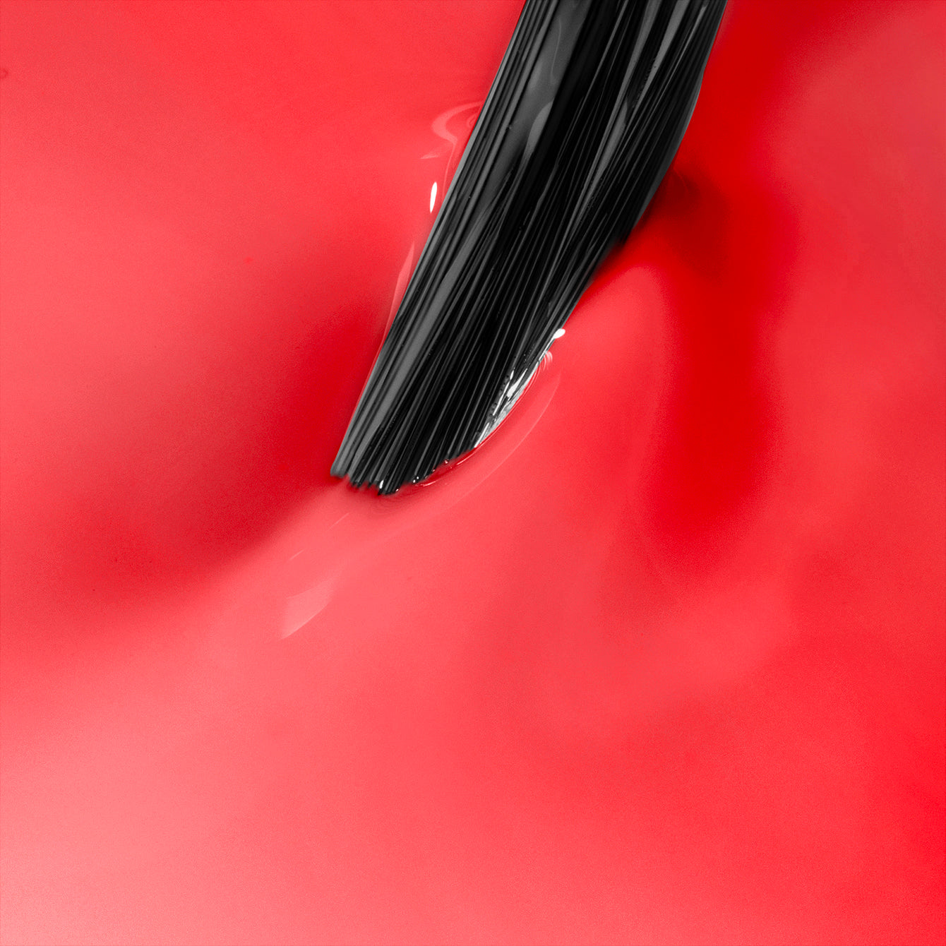 Watermelon Gloss