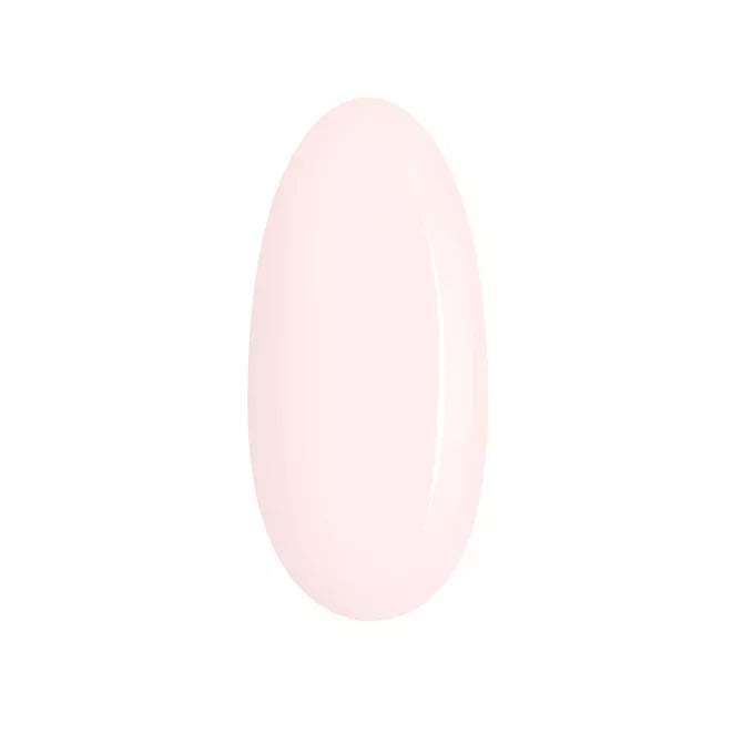 Seashell